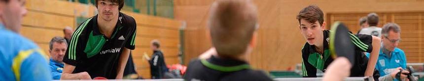 Bild Tischtennis Para